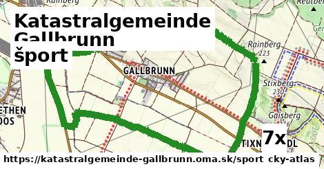 šport v Katastralgemeinde Gallbrunn