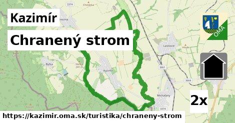 Chranený strom, Kazimír