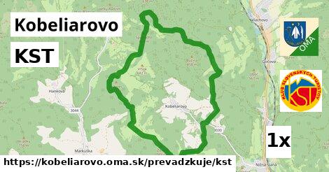 KST, Kobeliarovo