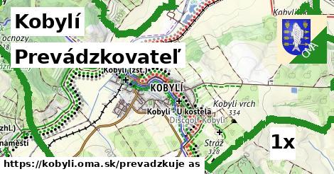 prevádzkovateľ v Kobylí