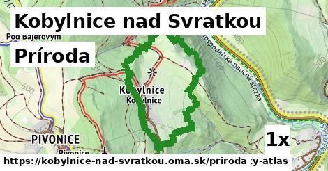 príroda v Kobylnice nad Svratkou