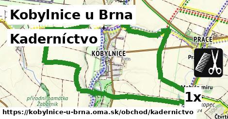 Kaderníctvo, Kobylnice u Brna