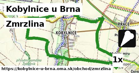 Zmrzlina, Kobylnice u Brna