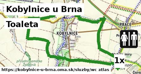 Toaleta, Kobylnice u Brna