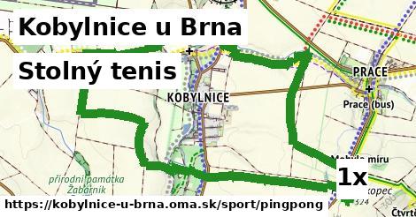 Stolný tenis, Kobylnice u Brna