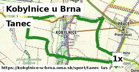 tanec v Kobylnice u Brna