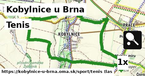 Tenis, Kobylnice u Brna