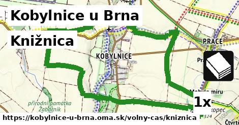 Knižnica, Kobylnice u Brna