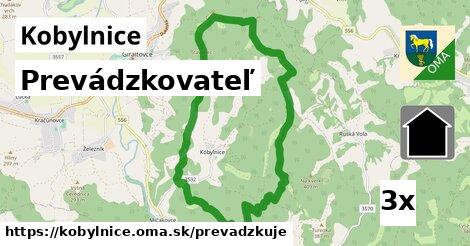 prevádzkovateľ v Kobylnice