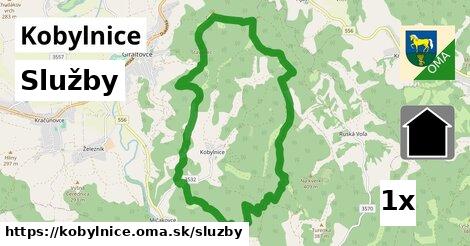 služby v Kobylnice