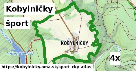 šport v Kobylničky