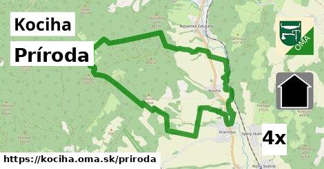 príroda v Kociha