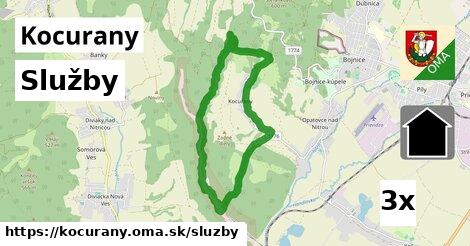 služby v Kocurany