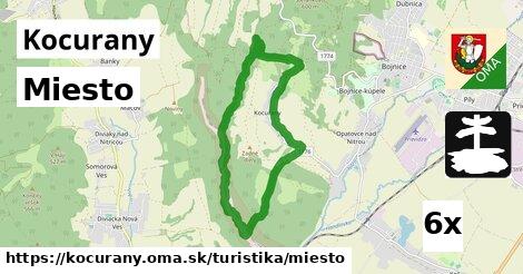 Miesto, Kocurany