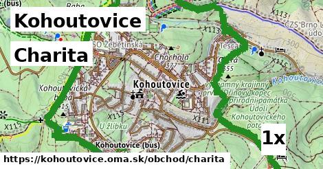 Charita, Kohoutovice