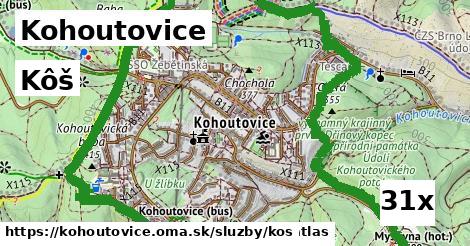 Kôš, Kohoutovice