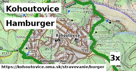 Hamburger, Kohoutovice