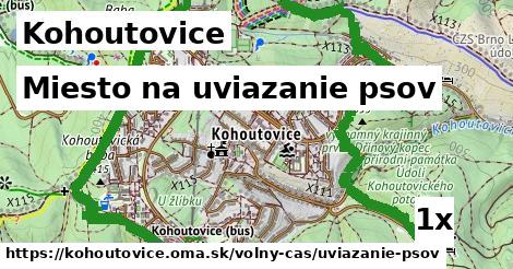 Miesto na uviazanie psov, Kohoutovice