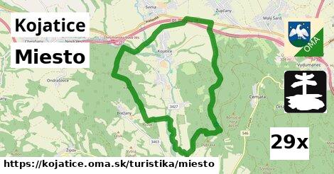 Miesto, Kojatice