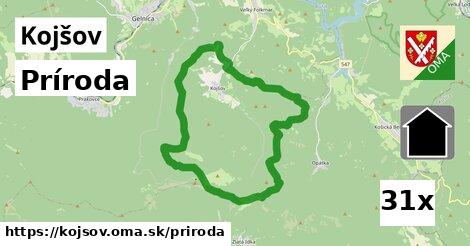 príroda v Kojšov