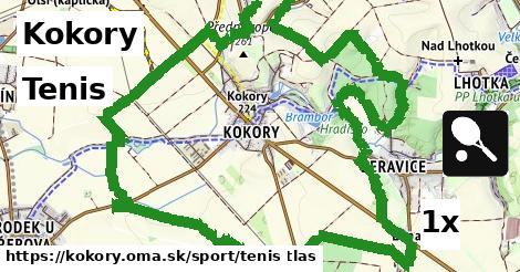 Tenis, Kokory