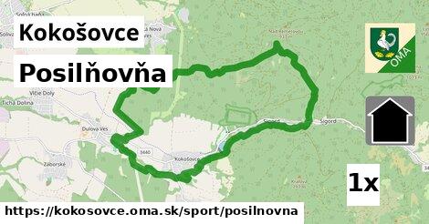 Posilňovňa, Kokošovce