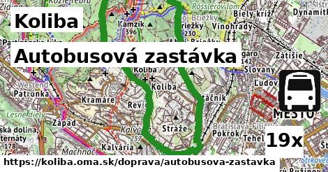 Autobusová zastávka, Koliba