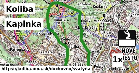 Kaplnka, Koliba