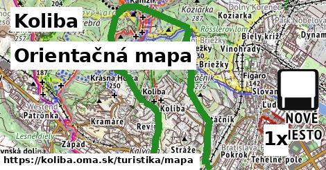 orientačná mapa v Koliba