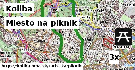 Miesto na piknik, Koliba