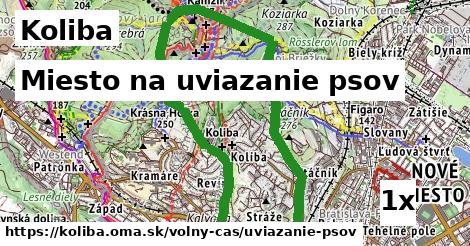 miesto na uviazanie psov v Koliba