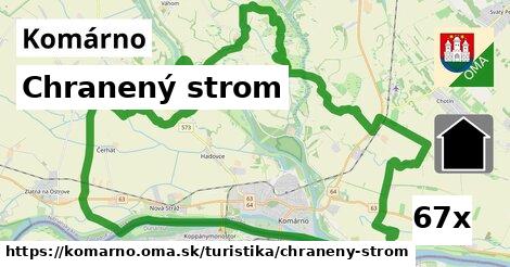 Chranený strom, Komárno