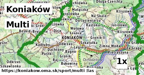 multi v Koniaków