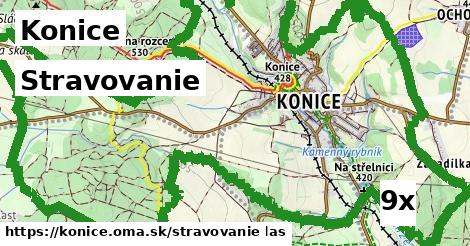 stravovanie v Konice