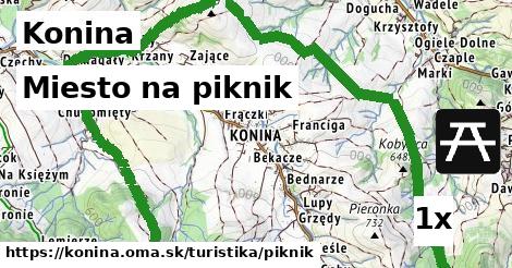 Miesto na piknik, Konina