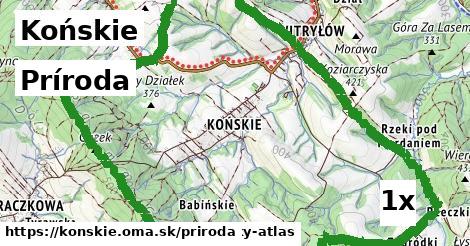 príroda v Końskie