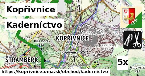 Kaderníctvo, Kopřivnice