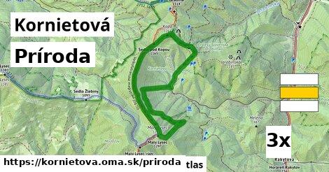 príroda v Kornietová