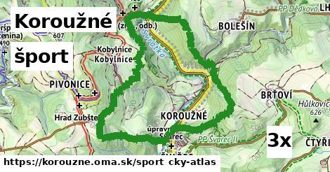 šport v Koroužné