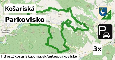 Parkovisko, Košariská