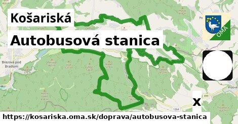 Autobusová stanica, Košariská