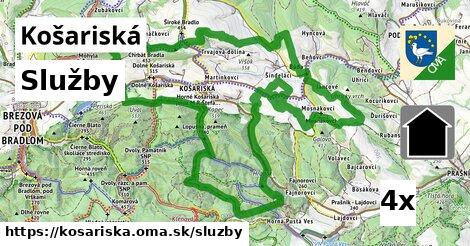 služby v Košariská