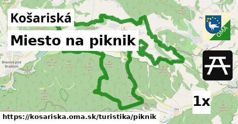 Miesto na piknik, Košariská