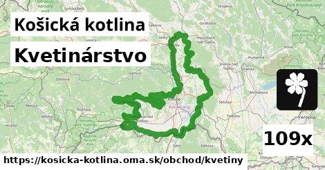 Kvetinárstvo, Košická kotlina