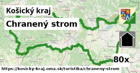 Chranený strom, Košický kraj