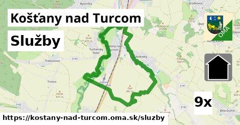 služby v Košťany nad Turcom