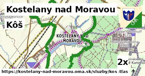 Kôš, Kostelany nad Moravou