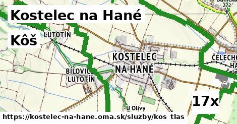 Kôš, Kostelec na Hané