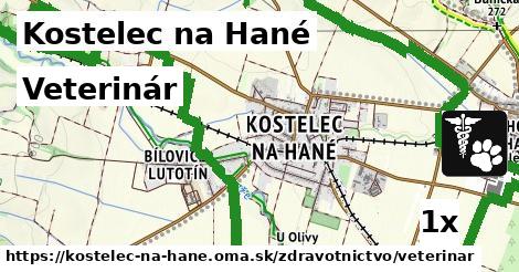 veterinár v Kostelec na Hané