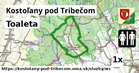 Toaleta, Kostoľany pod Tribečom